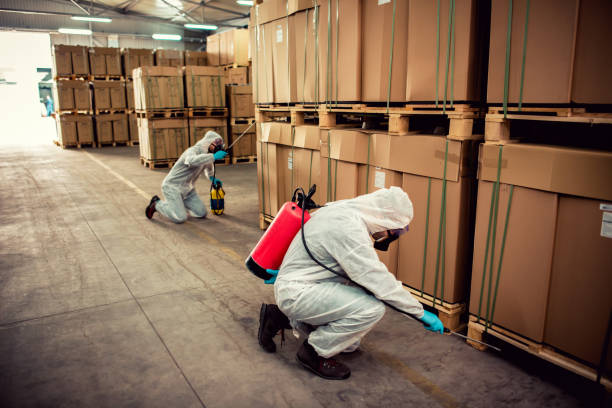 Best Insect Control  in Bluffdale, UT