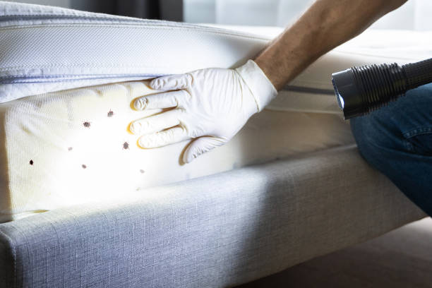Best Best Pest Control Companies  in Bluffdale, UT