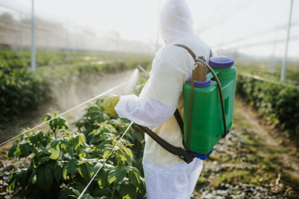 Best Mosquito Control Services  in Bluffdale, UT
